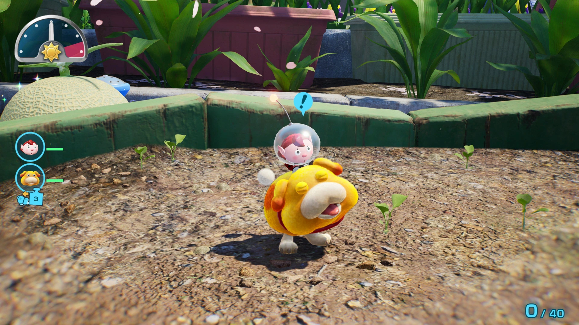 The explorer rides on Oatchi beside garden paving in an official Pikmin 4 Switch 2 screenshot.