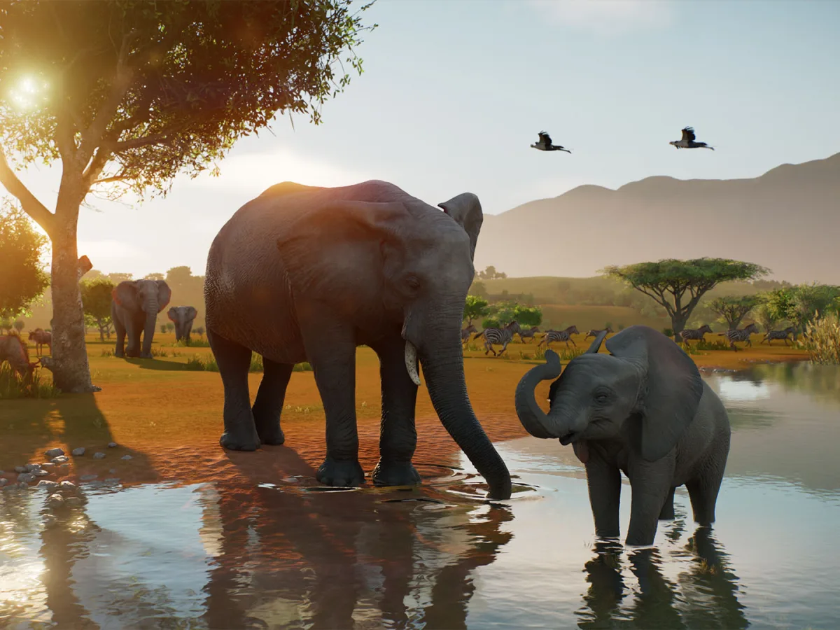 Elephants stand beside a watering hole while zebras and birds move through a Planet Zoo 2 wildlife reserve.