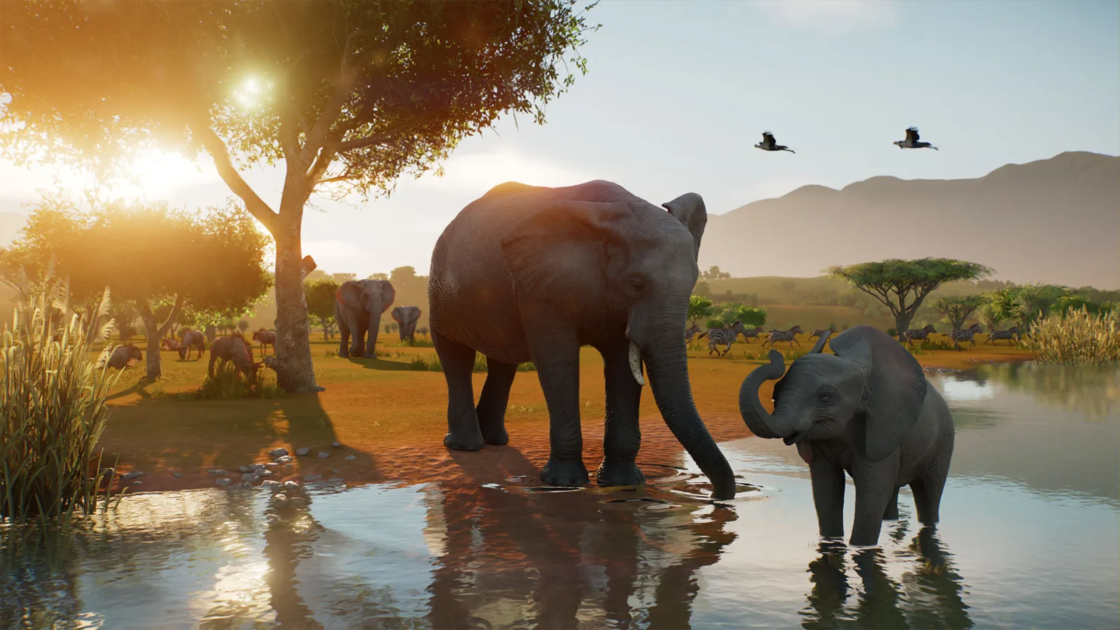 Elephants stand beside a watering hole while zebras and birds move through a Planet Zoo 2 wildlife reserve.
