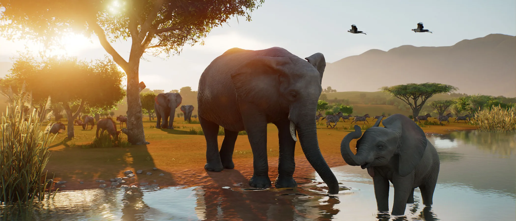 Elephants stand beside a watering hole while zebras and birds move through a Planet Zoo 2 wildlife reserve.