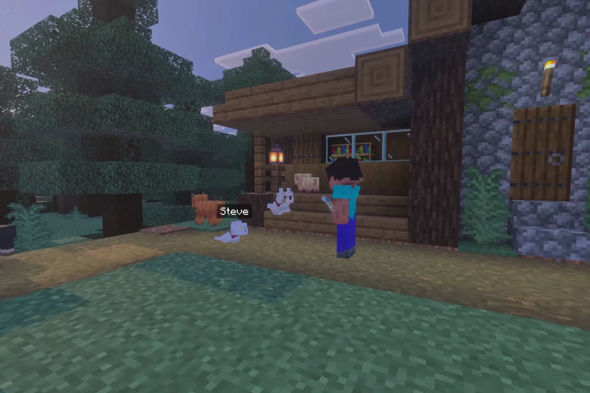 Steve faces a baby chicken with a visible Steve name label outside a Minecraft house