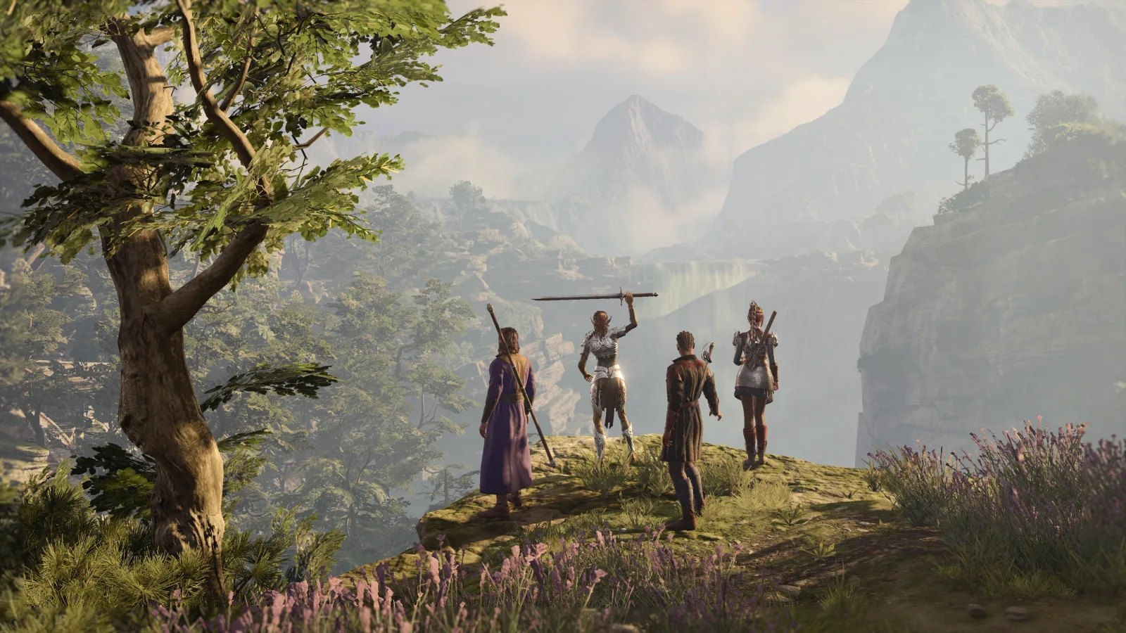 A party of adventurers overlooks a valley in Baldur's Gate 3.