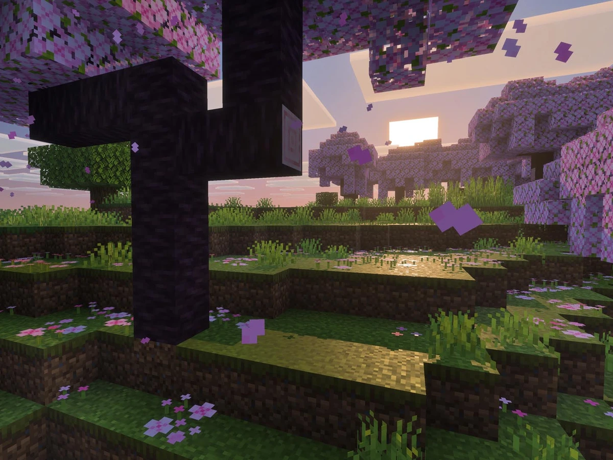 Sunlight and shadows fall across a cherry grove in Minecraft with Vibrant Visuals.