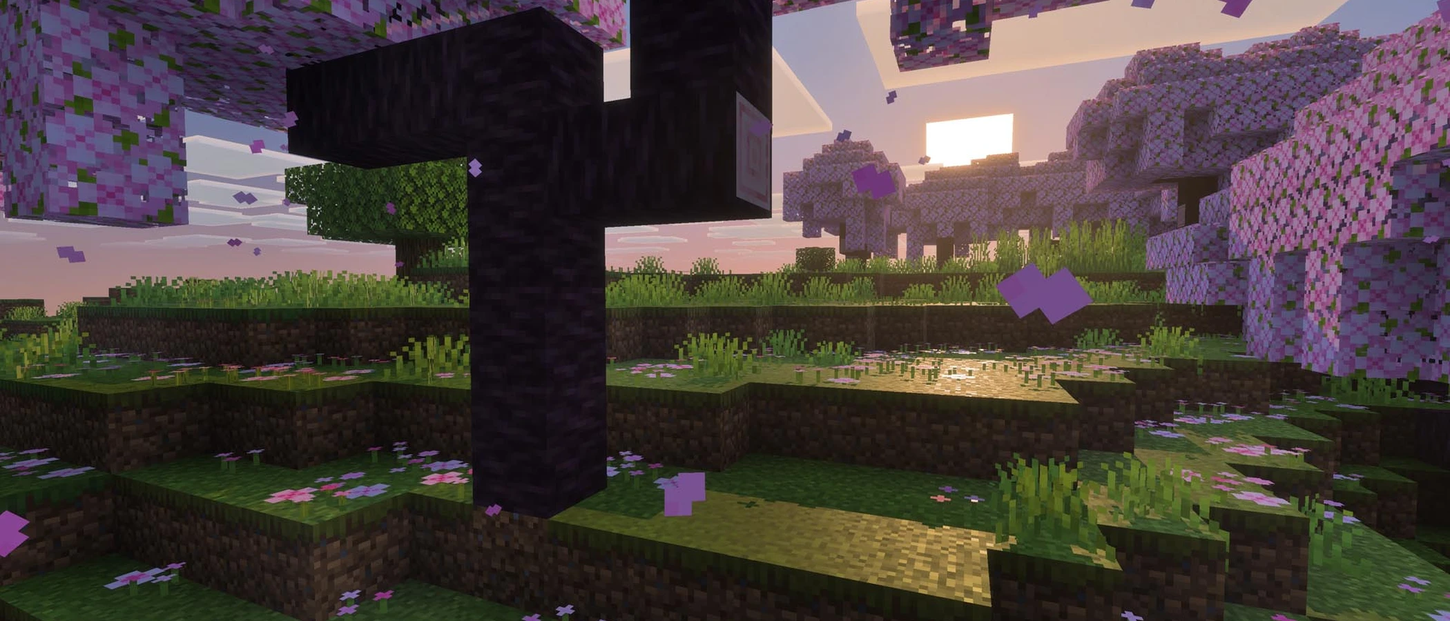 Sunlight and shadows fall across a cherry grove in Minecraft with Vibrant Visuals.