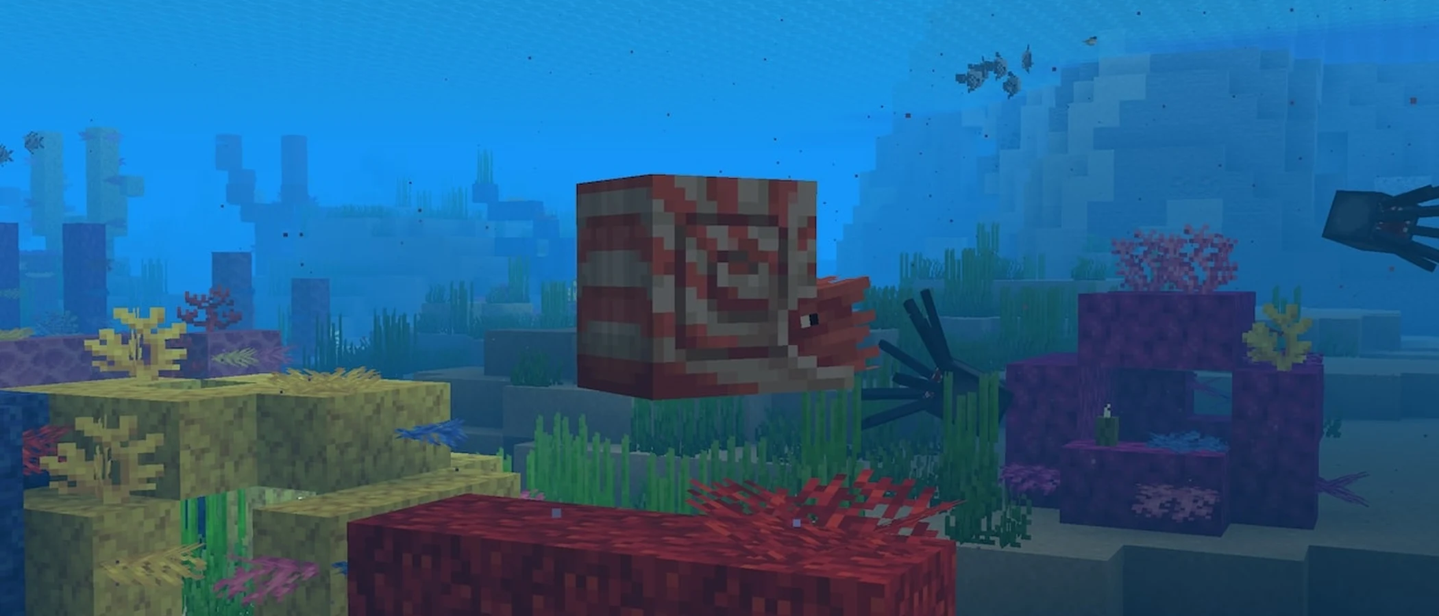 A striped nautilus swims above colourful coral on Minecraft's ocean floor.