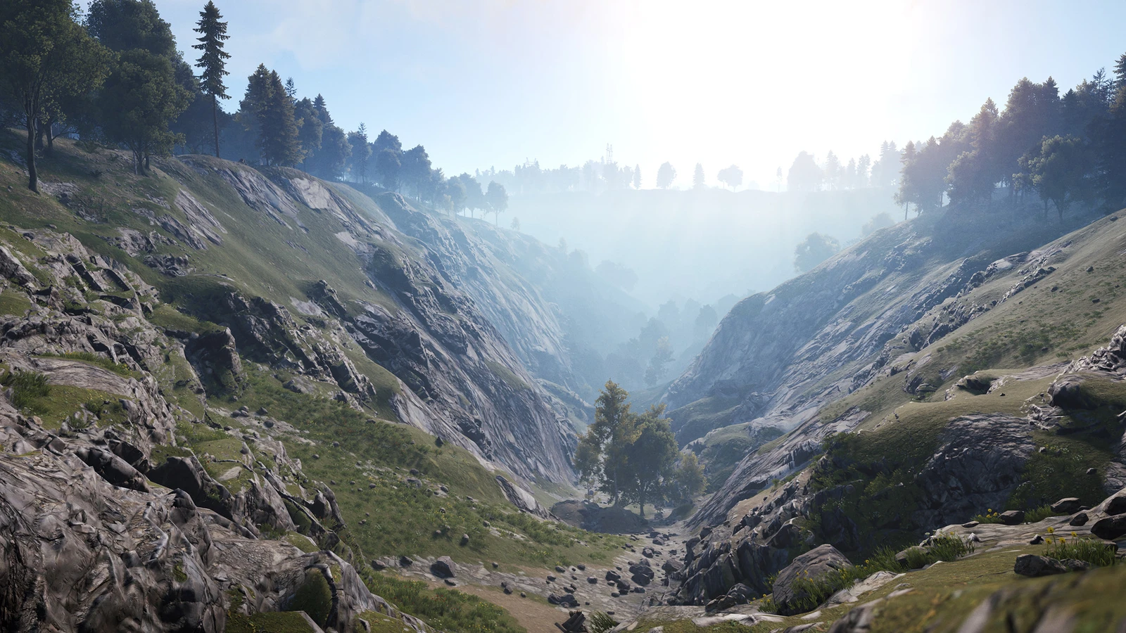 Rocky valley with trees and grassy slopes in Rust
