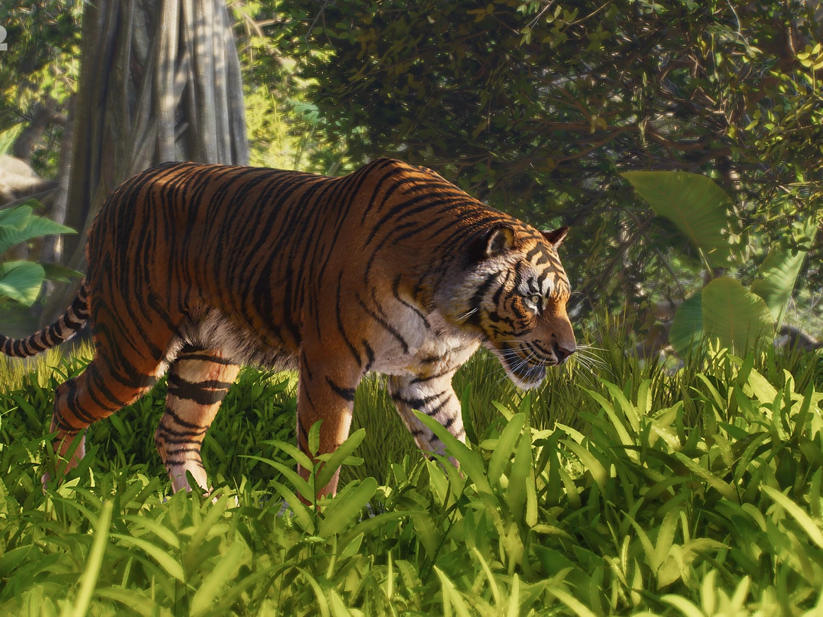 A tiger walks through bright forest foliage in Planet Zoo 2's official Photo Mode portrait.