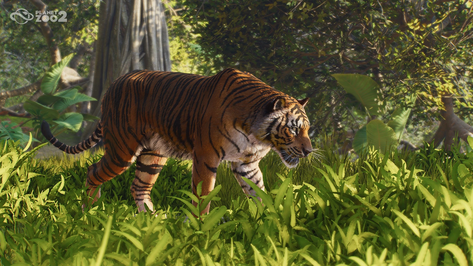A tiger walks through bright forest foliage in Planet Zoo 2's official Photo Mode portrait.