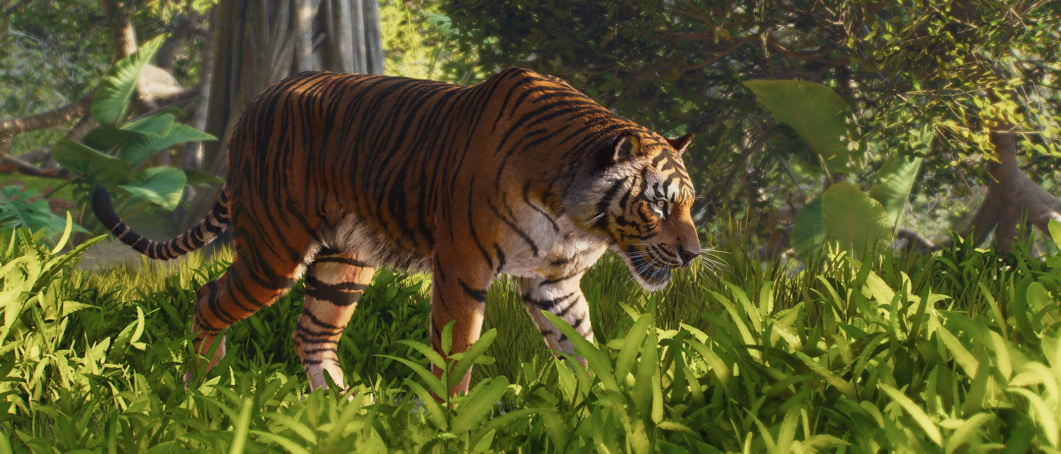 A tiger walks through bright forest foliage in Planet Zoo 2's official Photo Mode portrait.